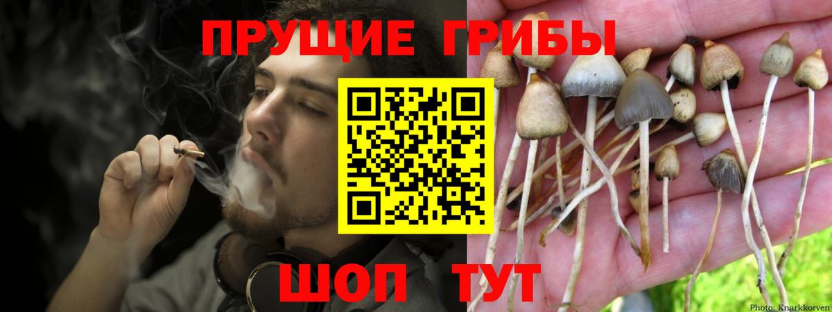 Тамбов  Галлюциногенные грибы Magic Shrooms  Галлюциногенные грибы ЛСД  Вход с VPN 