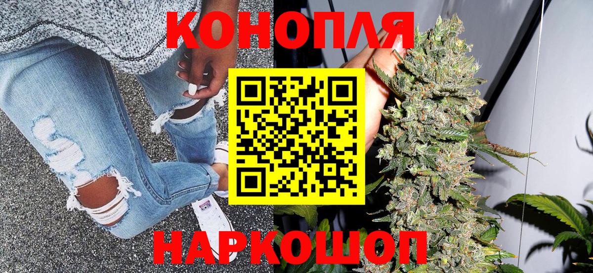 Шишки марихуана планчик Тамбов